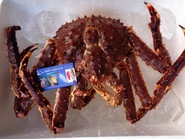 cua-alaska-crab-king